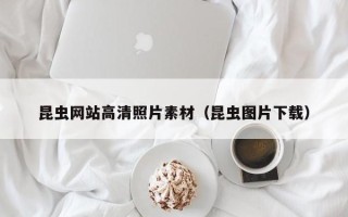 广州昆虫网站高清照片素材（昆虫图片下载）